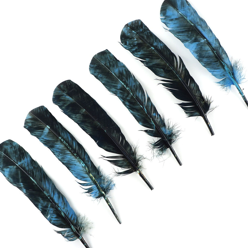 Turkey Quill - Tie Dye - Ocean Blue and Black