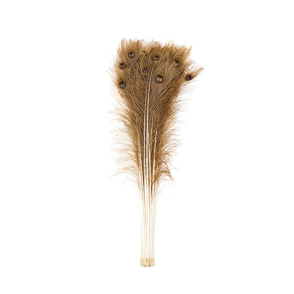 Peacock Tail Eyes Bleached Dyed - Golden Iridescent