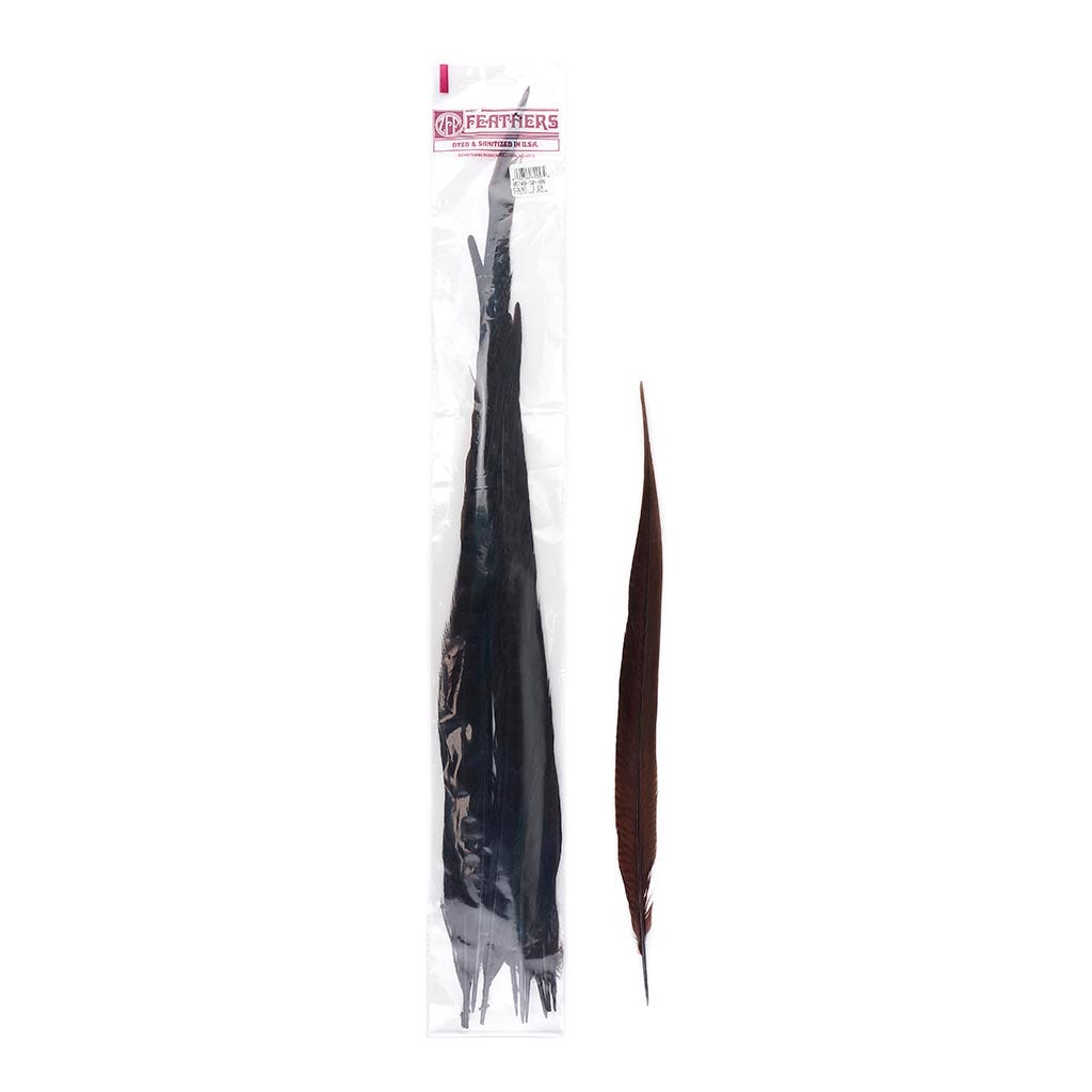 Pheasant Tails Assorted Bleached - Brown