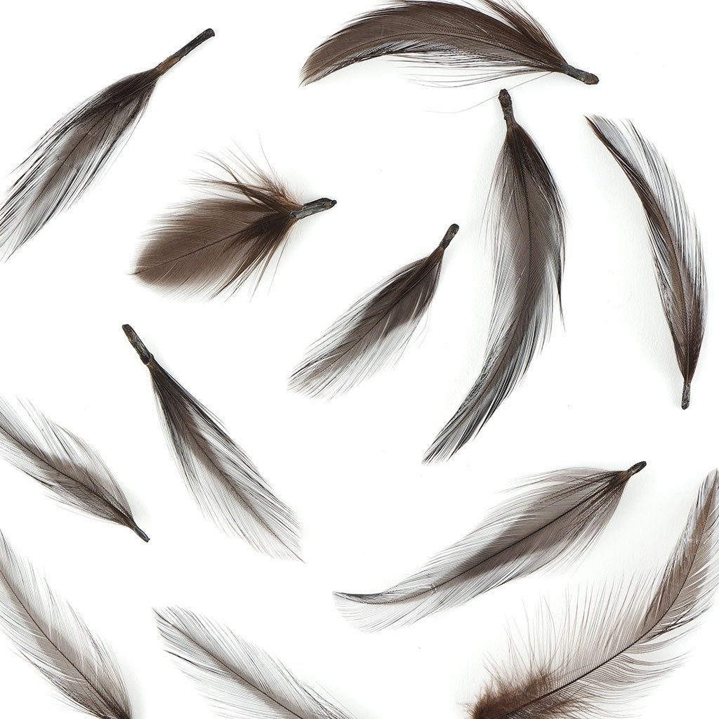 Rooster Hackle-Dyed - Brown