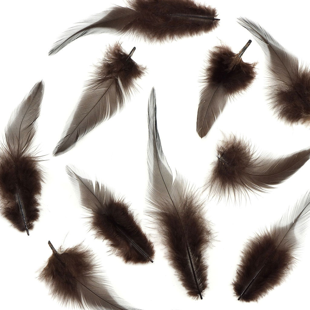 Rooster Saddles-White-Dyed - Brown