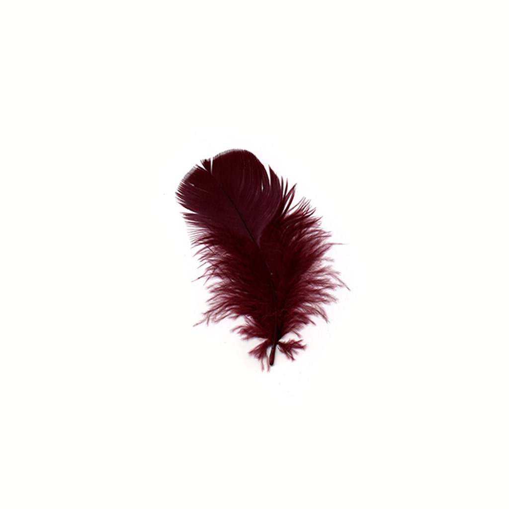 Loose Turkey Plumage Feathers 3-5" - Burgundy