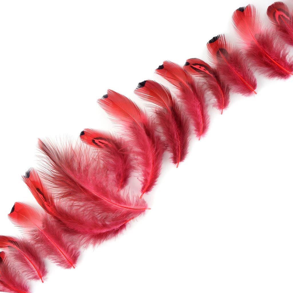 Heart Pheasant Plumage Dyed - Coral