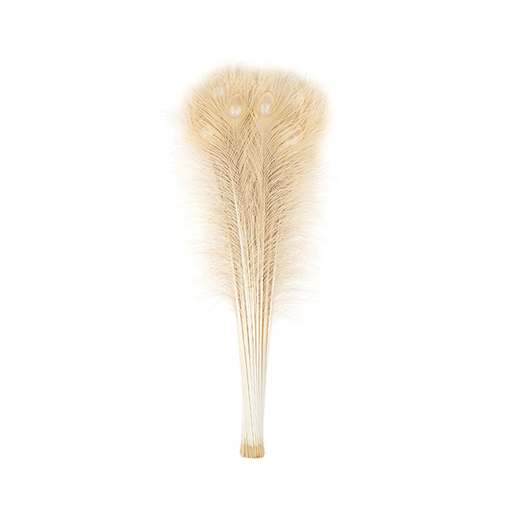 Peacock Tail Eyes Bleached Dyed - 25-40 Inch - 10 PCS - Eggshell