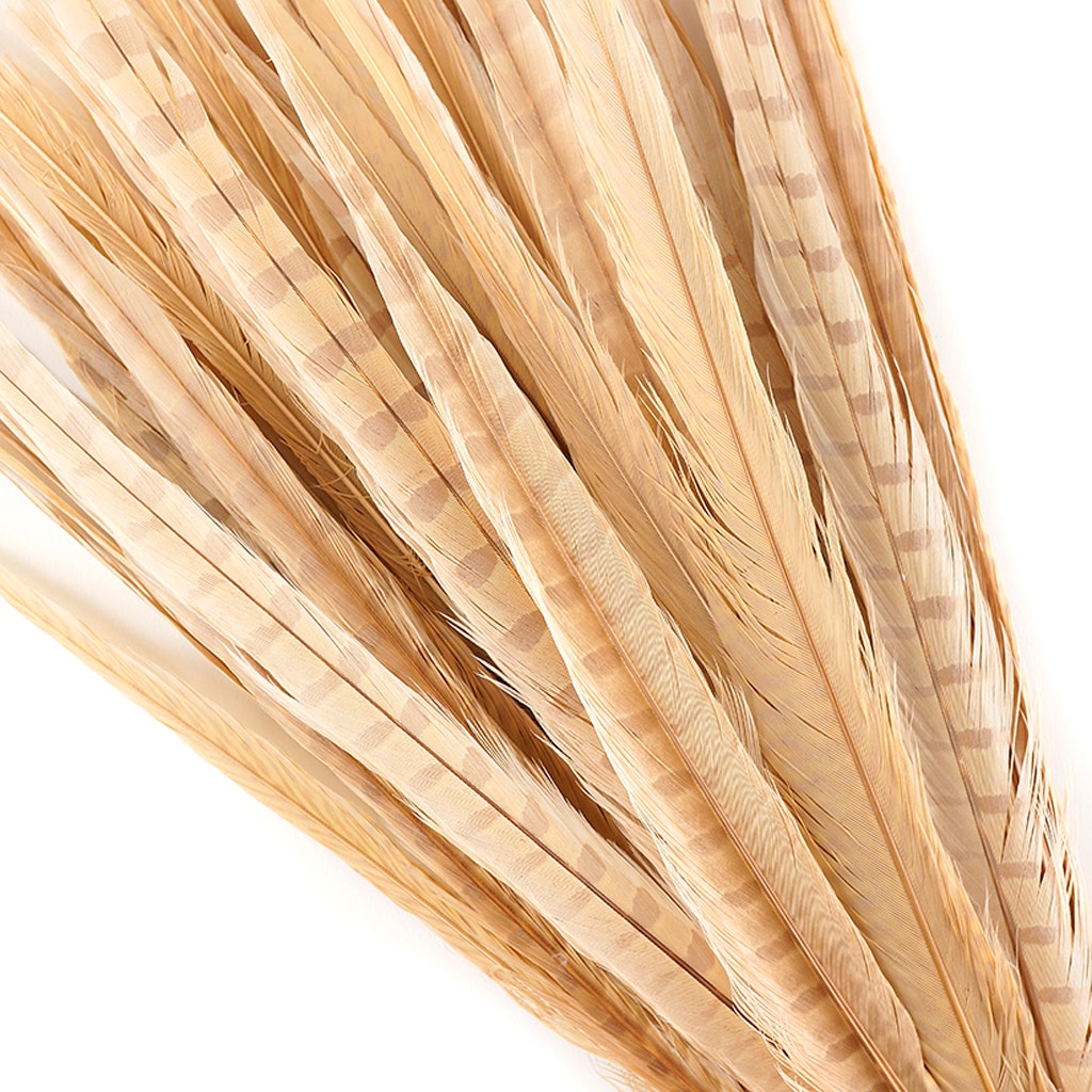 Assorted Pheasant Tails Dyed - Eggshell - 14 -18"