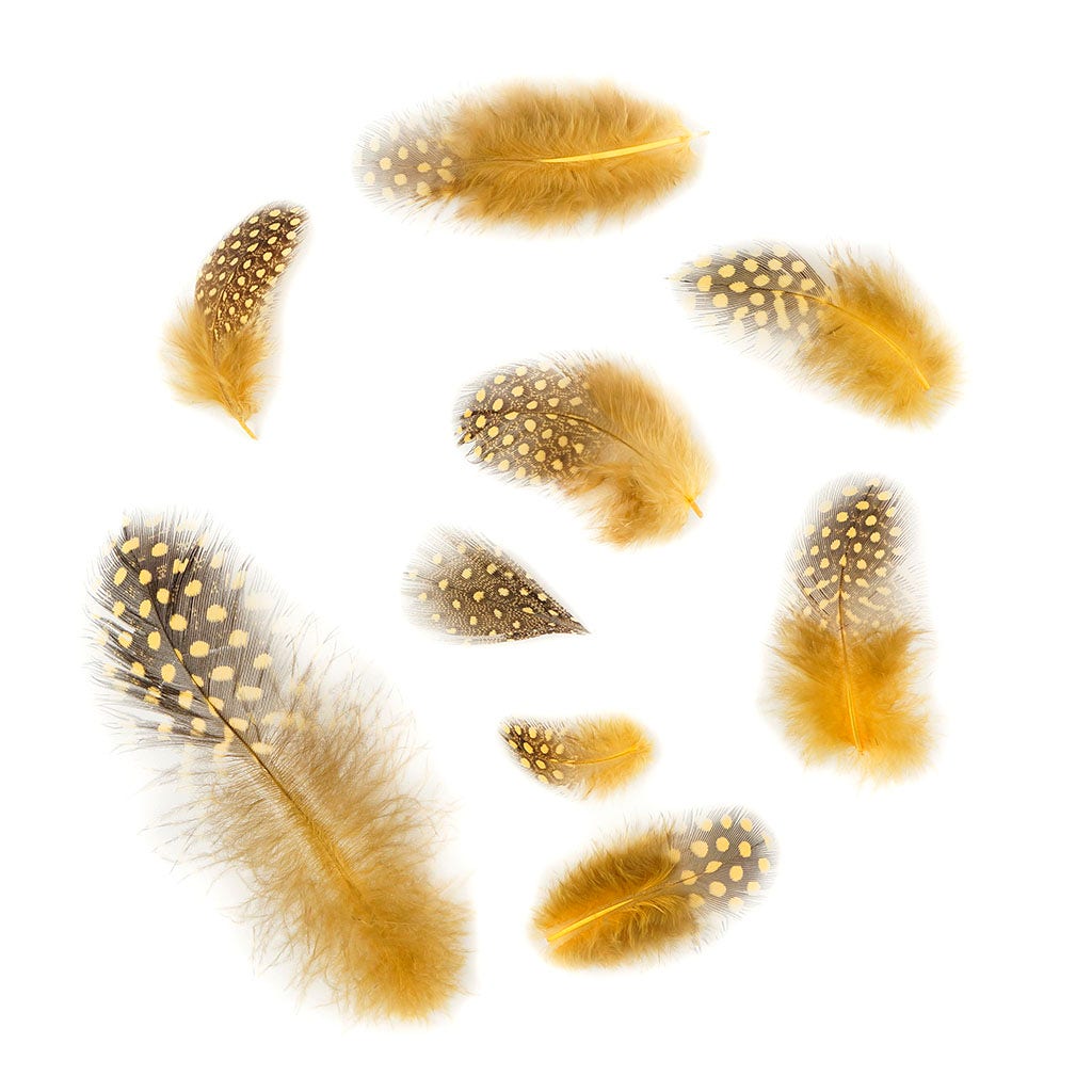 Bulk Guinea Hen Plumage - 1/4 lb - Gold