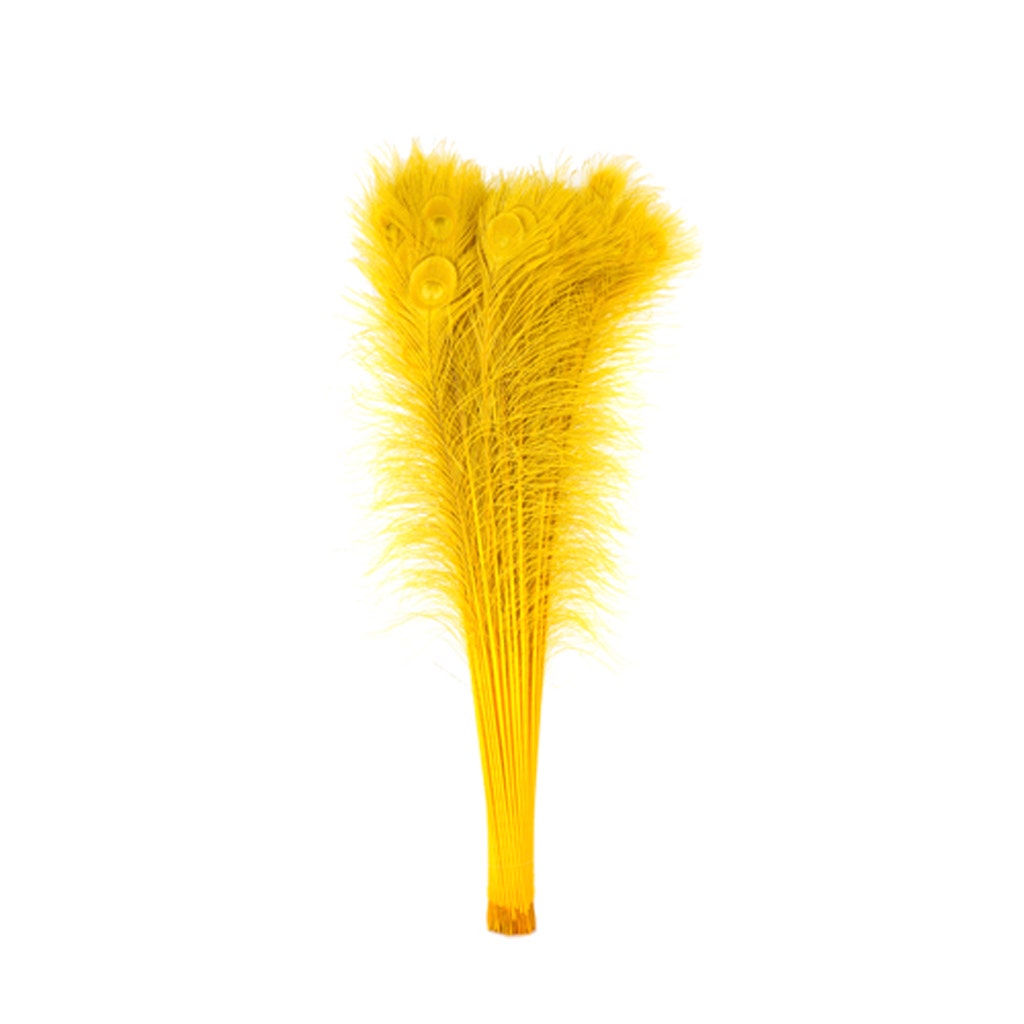 Peacock Tail Eyes Bleached Dyed - Gold