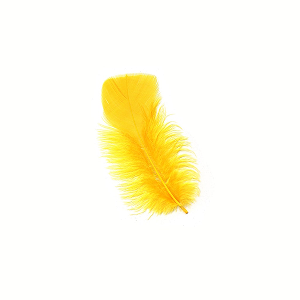 Loose Turkey Plumage Feathers 3-5" - Gold
