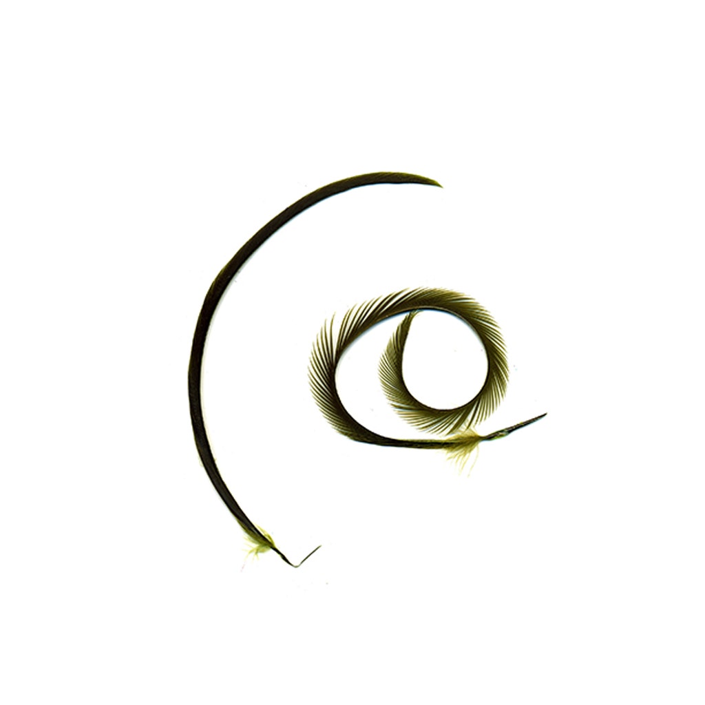 Goose Biot Feathers-Dyed - Olive