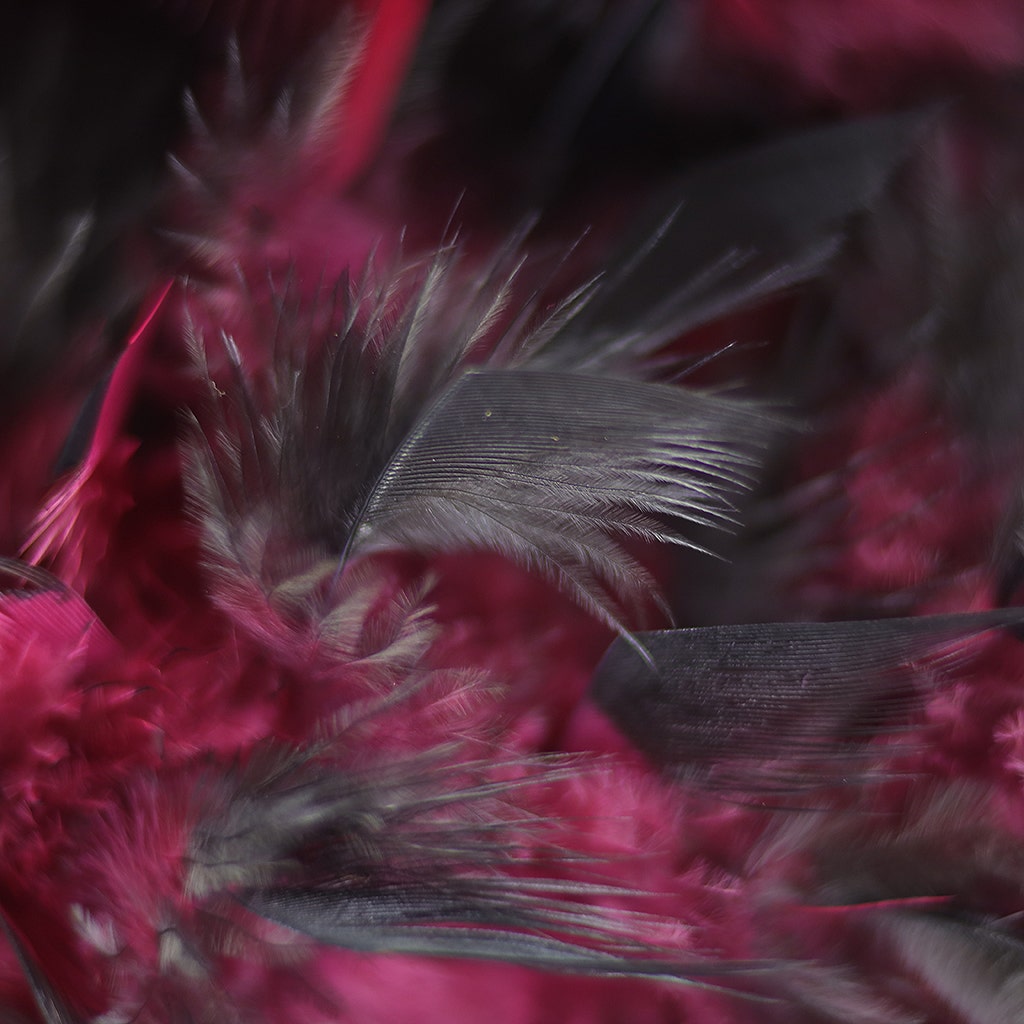 Tipped Chandelle Feather Boa - Heavyweight - Burgundy/Black