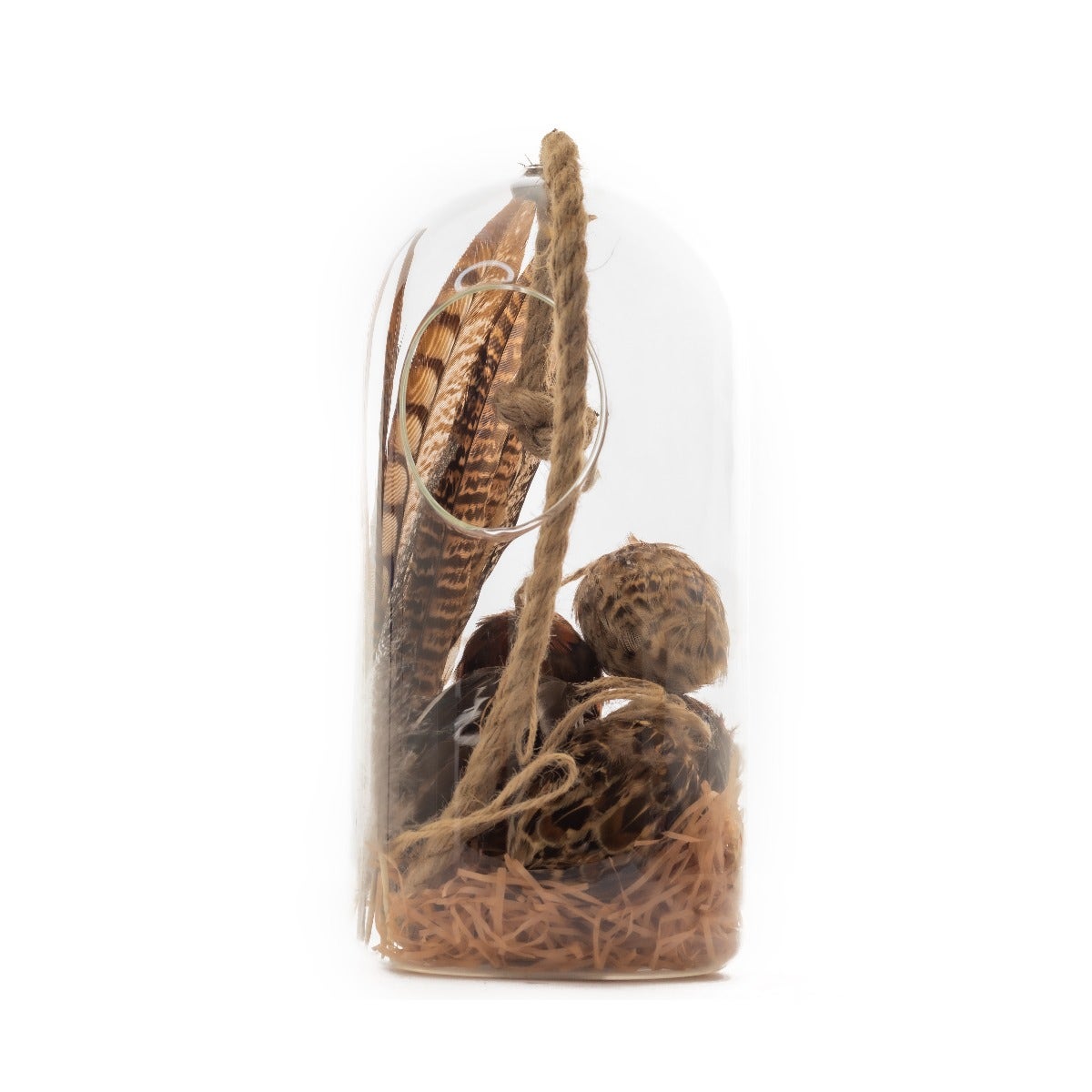 1 PC Terrarium Vase With Rope 10.5" - Clear