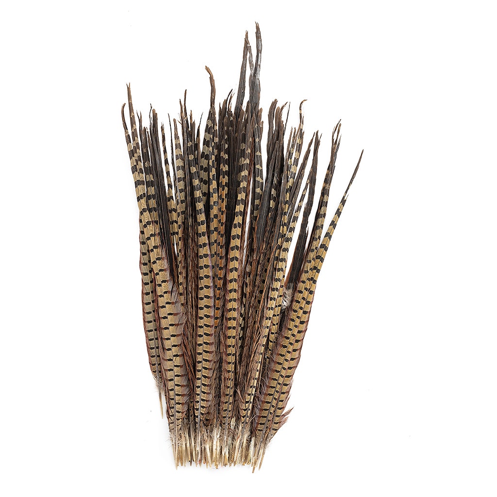 Ringneck Pheasant Tails - Natural - 20 - 24" (100pcs)