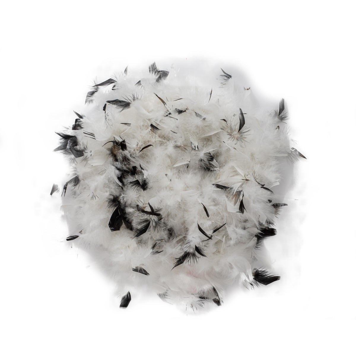 Chandelle Feather Boa - Medium Weight - Tipped - White/Black