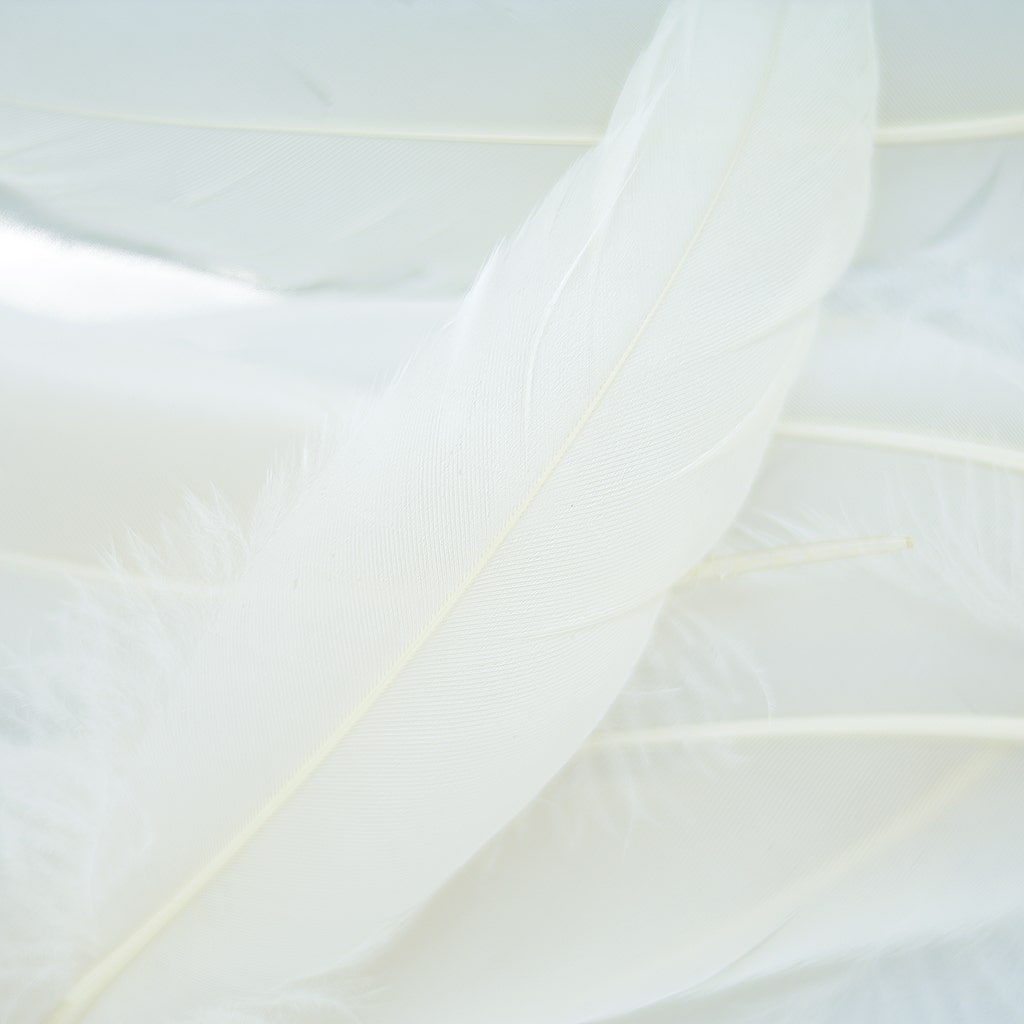 Loose Goose Satinettes Dyed - Ivory