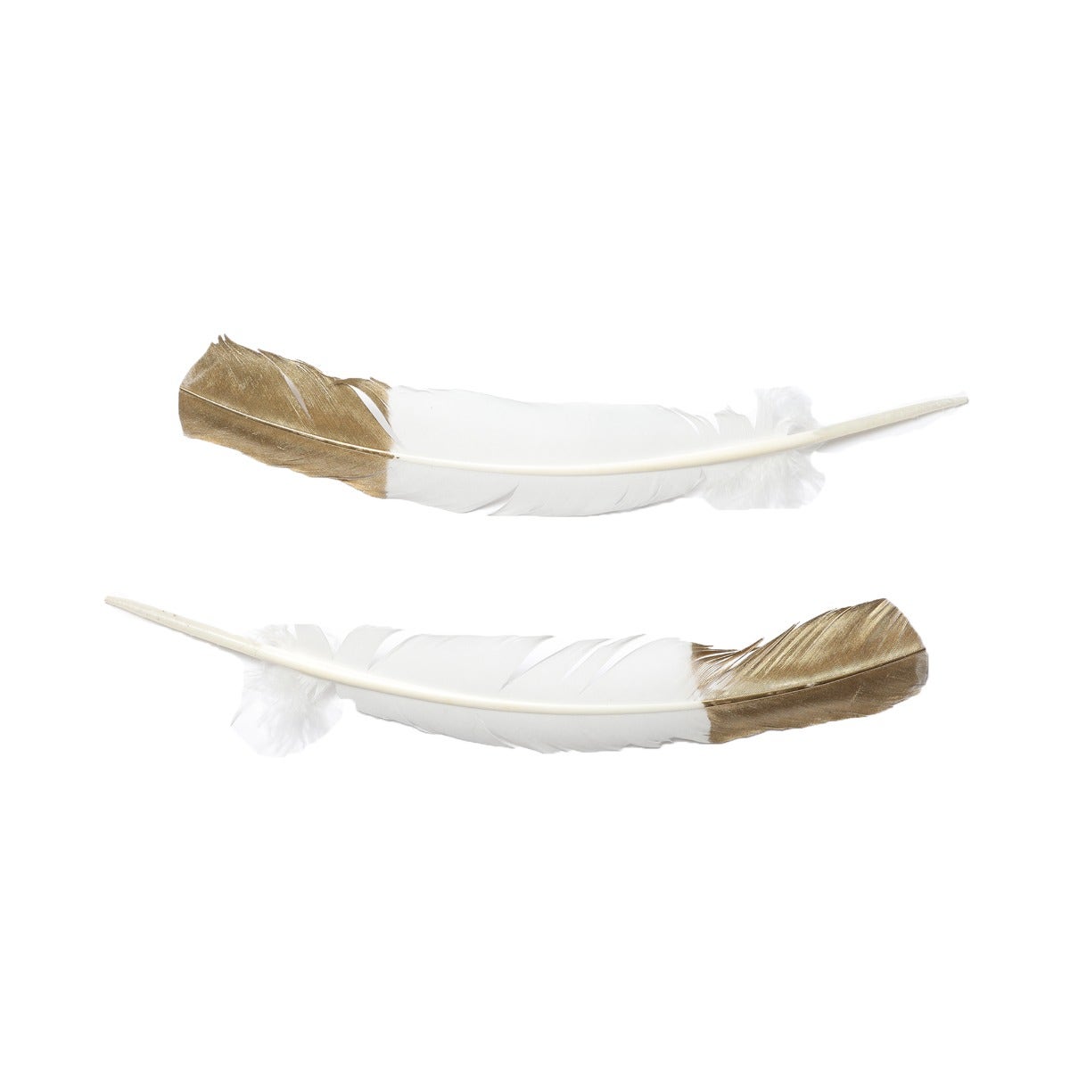 Metallic Gold Tipped White Turkey Quill Feathers 10-12" - 2 PC
