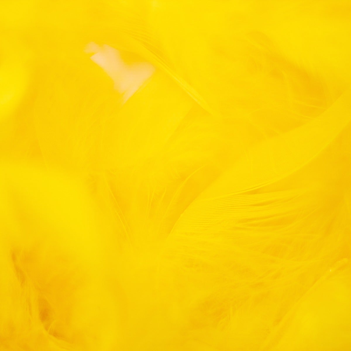 Chandelle Feather Boa - Medium Weight - Gold