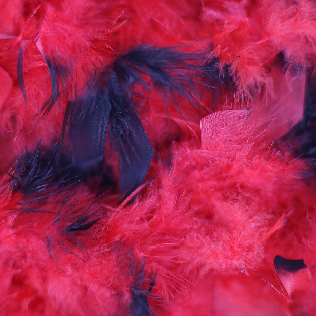 Chandelle Feather Boa - Medium Weight - Tipped- Red/Black