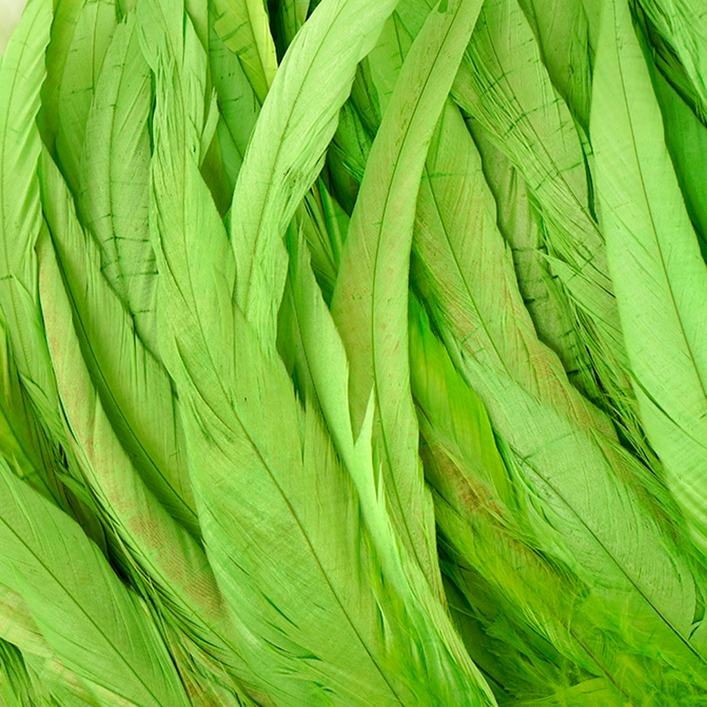 Rooster Coque Tails-Bleach-Dyed - Lime