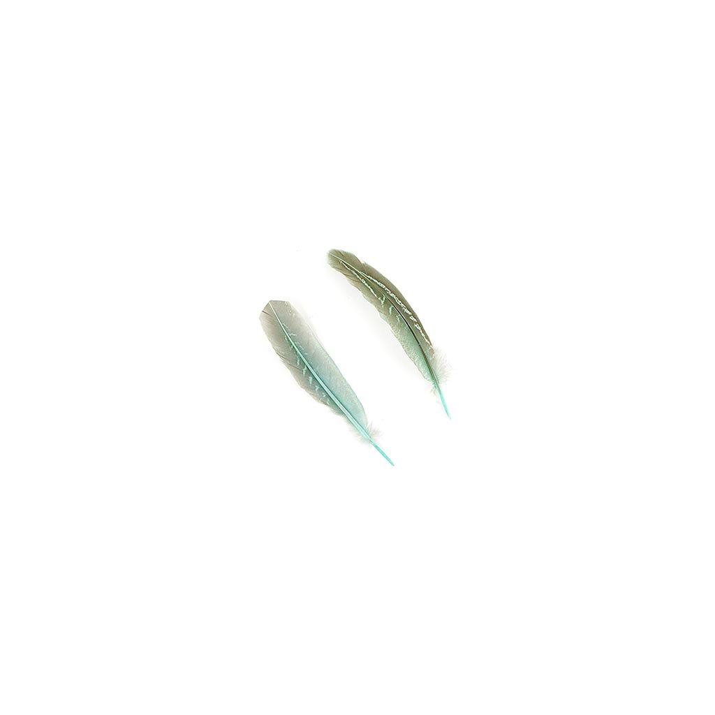 Pheasant Tail Feathers Dyed - Mint
