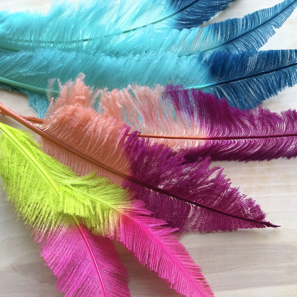 Ostrich Nandu Tipped Feathers Selected - Mint - Peacock Blue