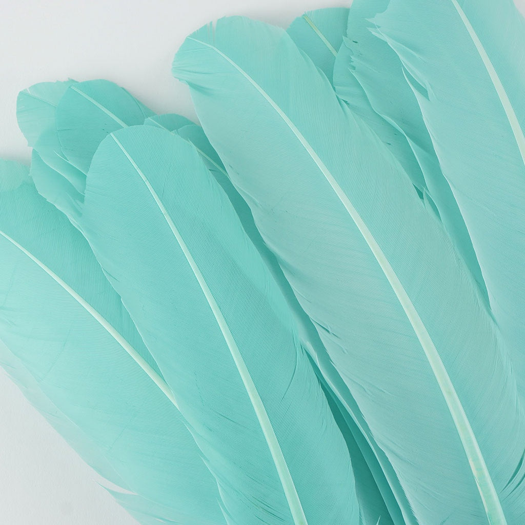 Turkey Quills Selected Mint
