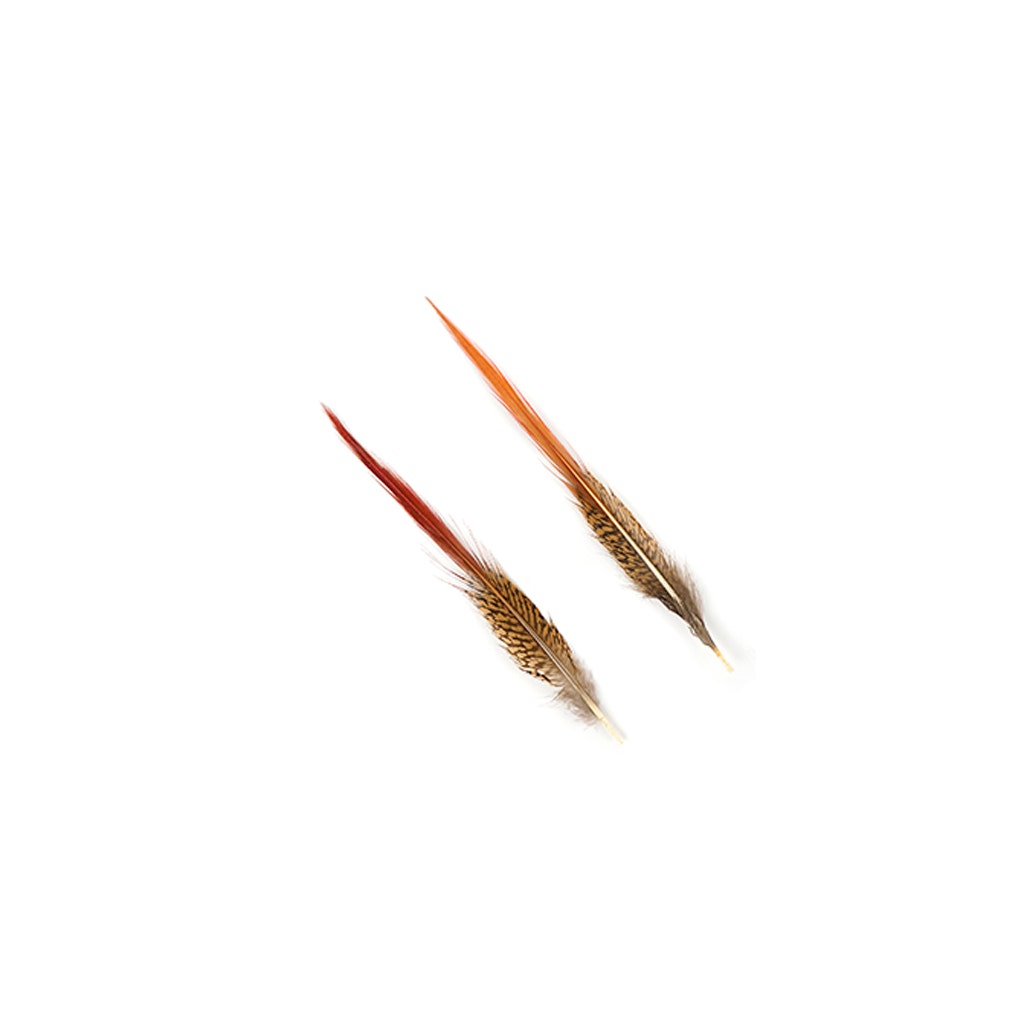 10 PC/PKG Golden Pheasant Red Top Tails 6-8" - Natural