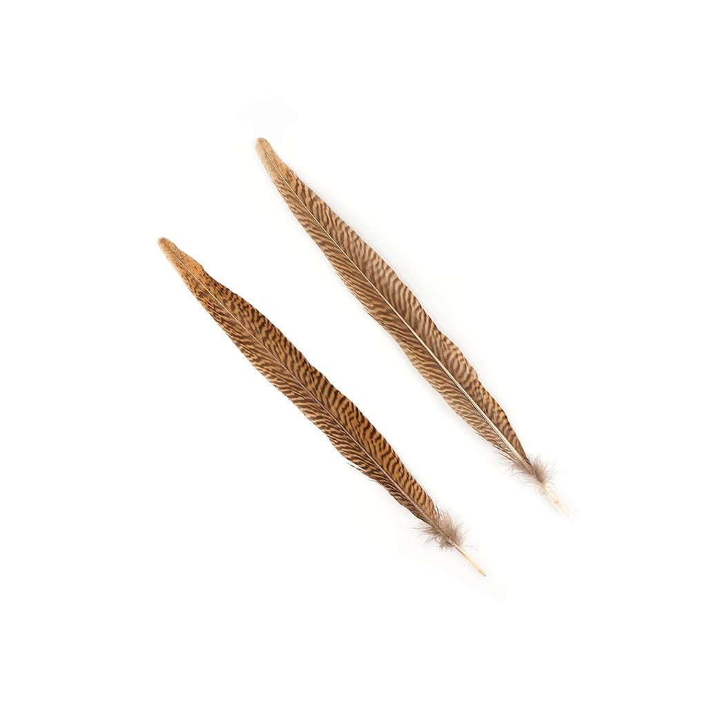 10 PC/PKG Golden Pheasant Tails 14-16" - Natural