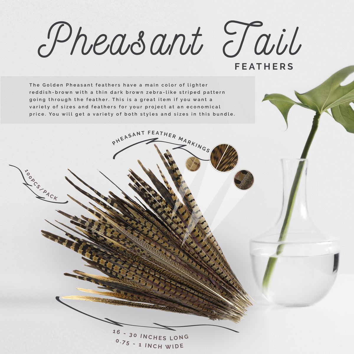 Pheasant Tails Assorted Natural - 16 - 30"