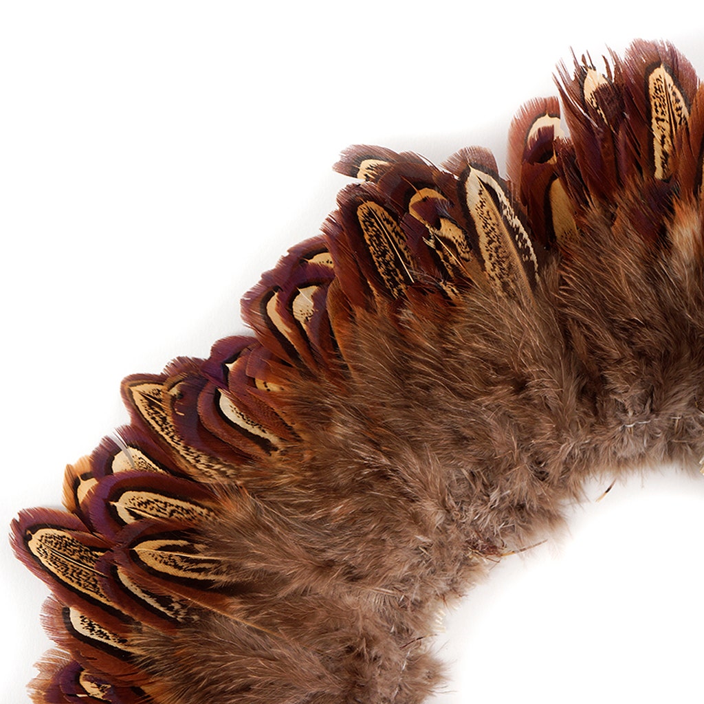 Ringneck Plumage-Almond - Natural - 2 - 4"
