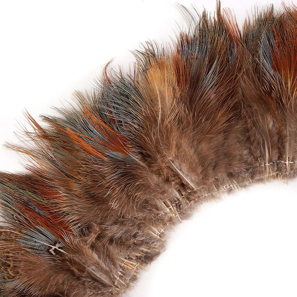 Ringneck Plumage - Blue Almond - Natural - 3 - 5"
