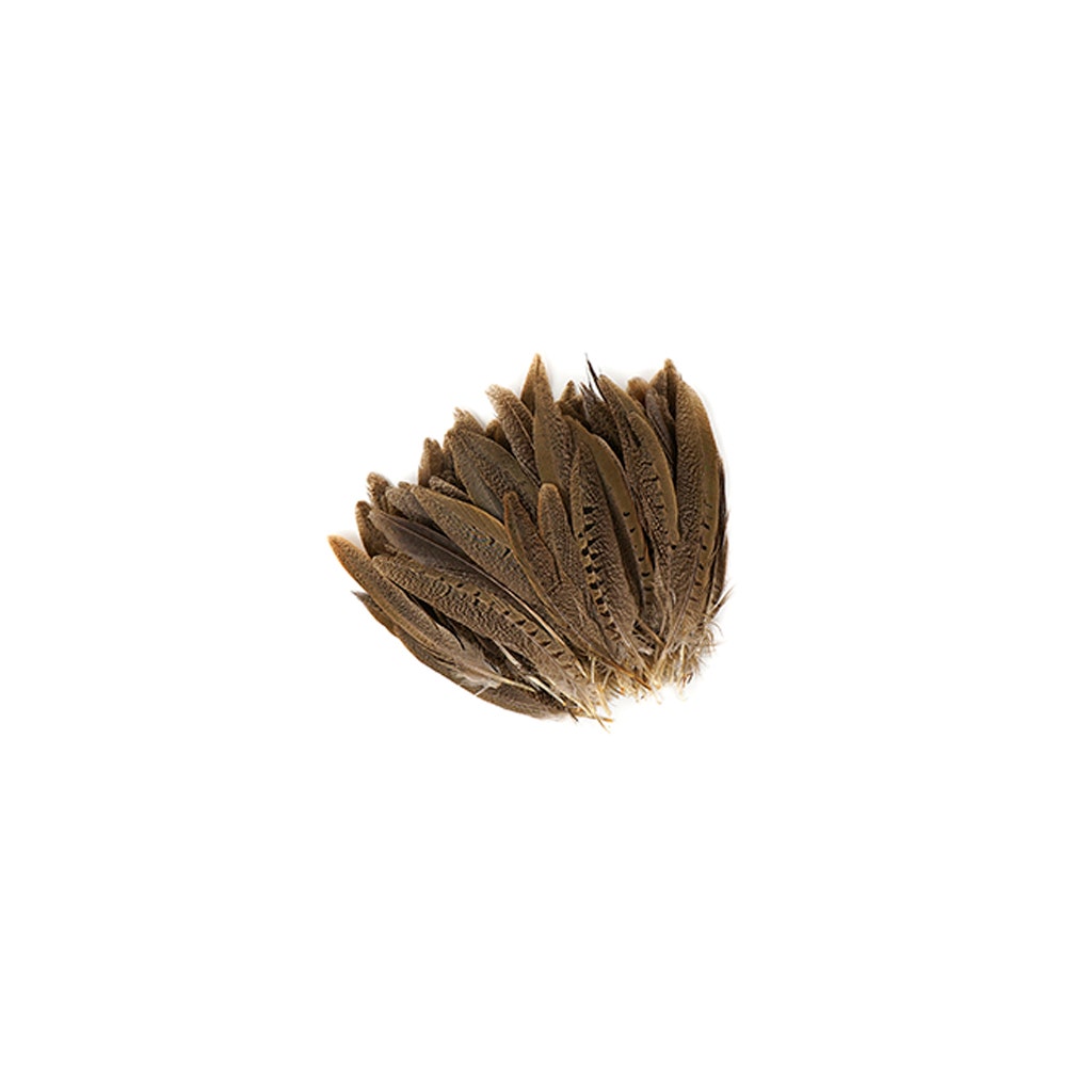 10 PC/PKG RINGNECK PHEASANT TAILS 4-6" - NATURAL