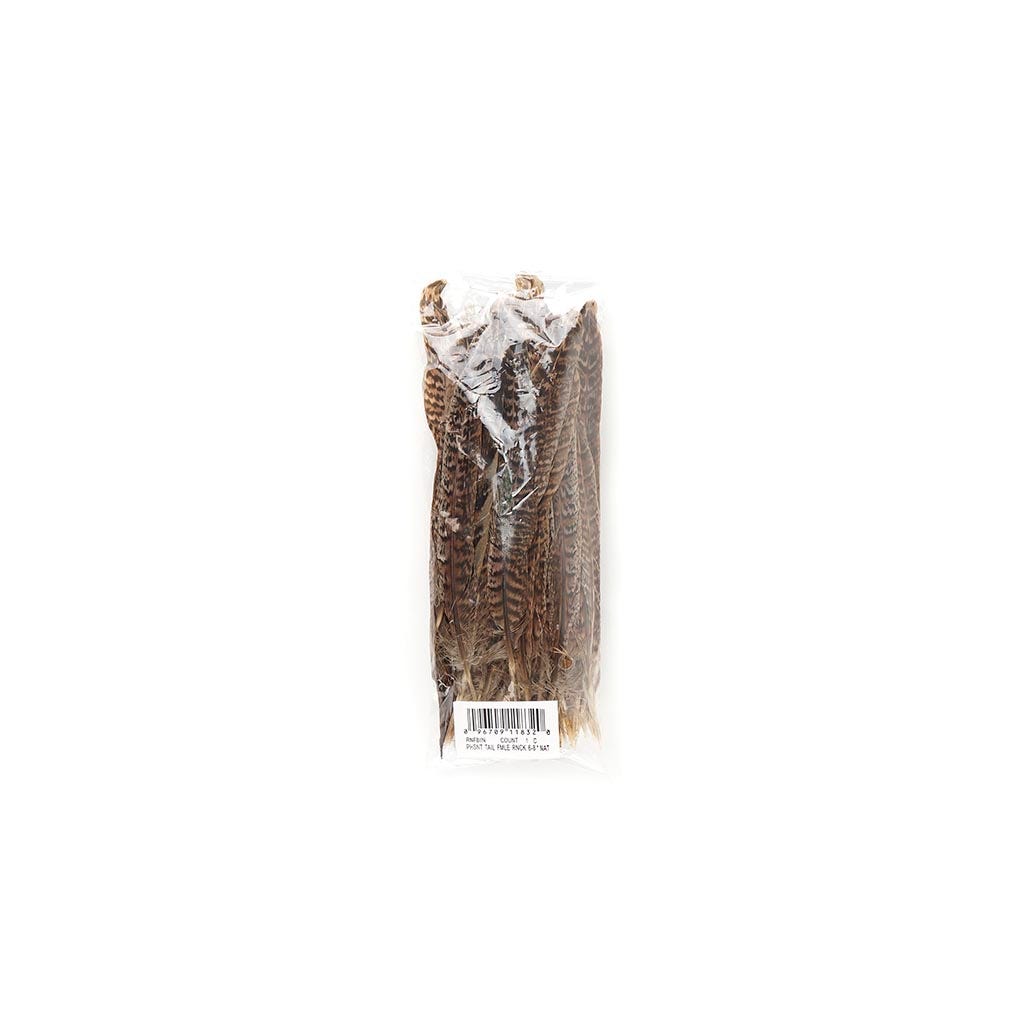 10 PC/PKG Female Ringneck Pheasant Tails 6-8"- Natural