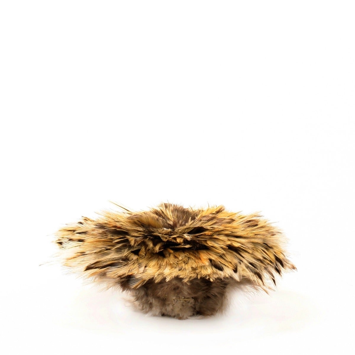 Badger Rooster Saddle Feathers Strung - 2" strip of 4-6" Rooster Feathers - Natural