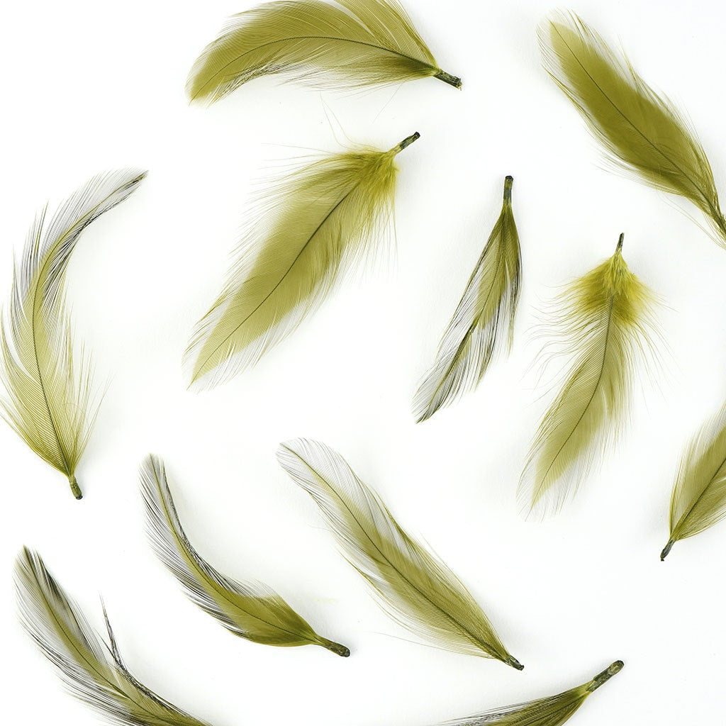 Rooster Hackle-Dyed - Olive