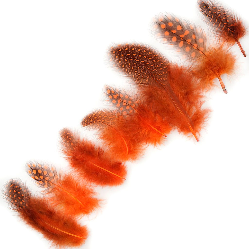 Bulk Guinea Hen Plumage - 1/4 lb - Orange