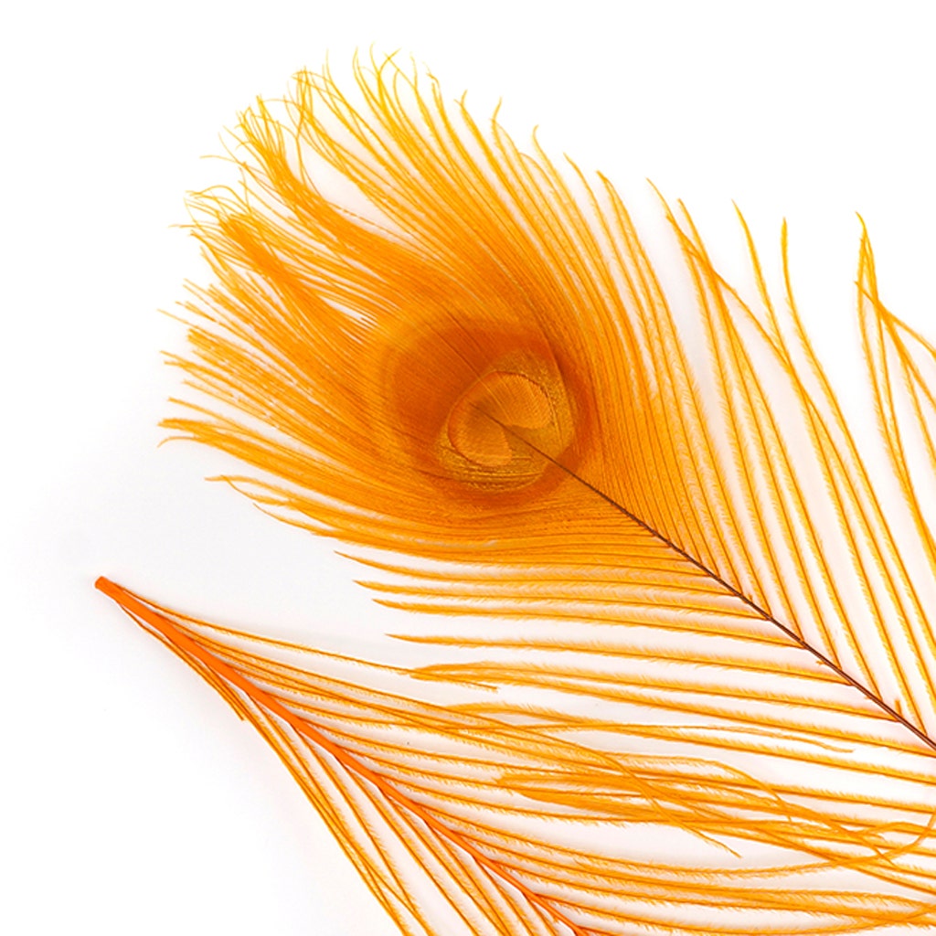 Peacock Tail Eyes Bleached and Dyed - 8-15” - 100 pc - Orange