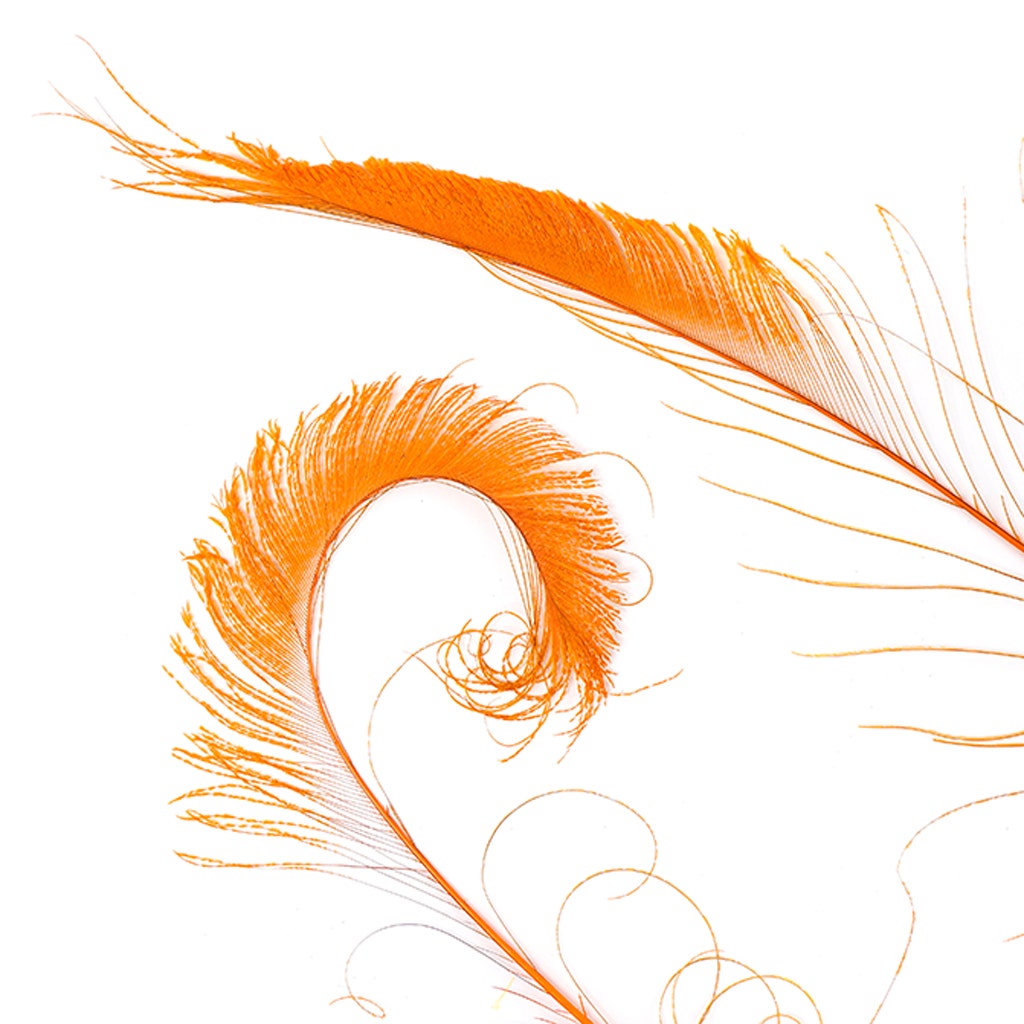 Peacock Swords Bleached Dyed - Orange