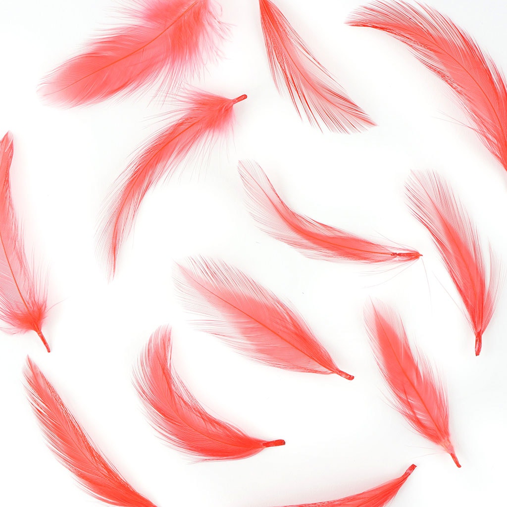 Rooster Hackle-Dyed - Hot Orange