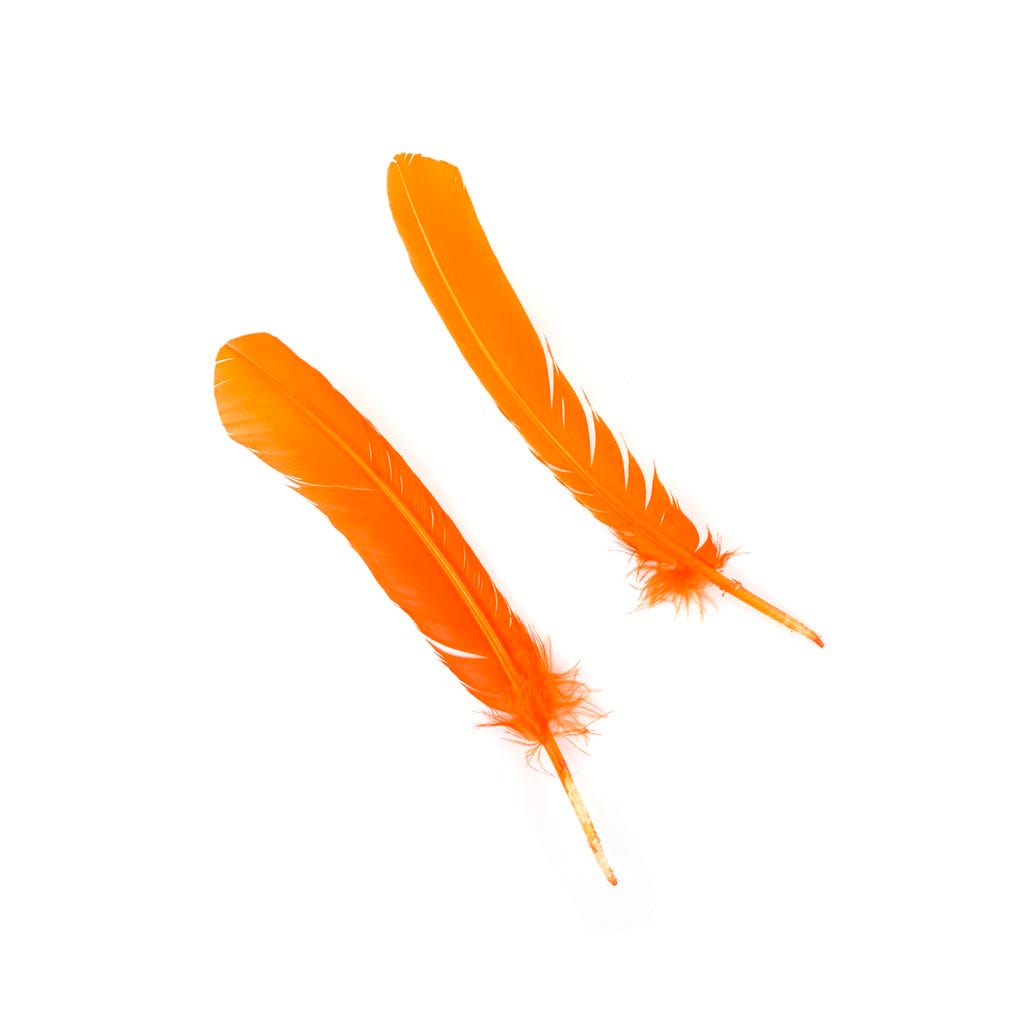 Turkey Quills Selected - Orange