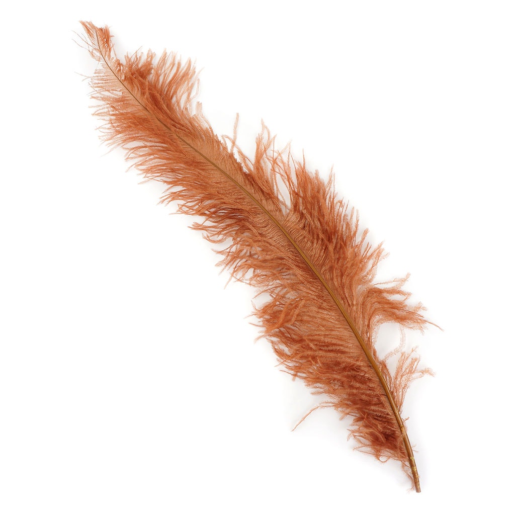 Ostrich Feathers-Spads Damaged - Cinnamon