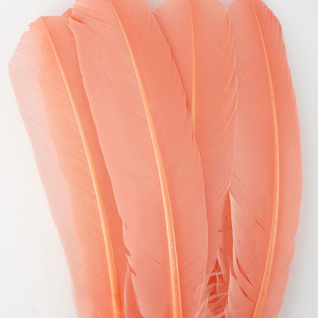 Turkey Quills Selected Apricot Blush