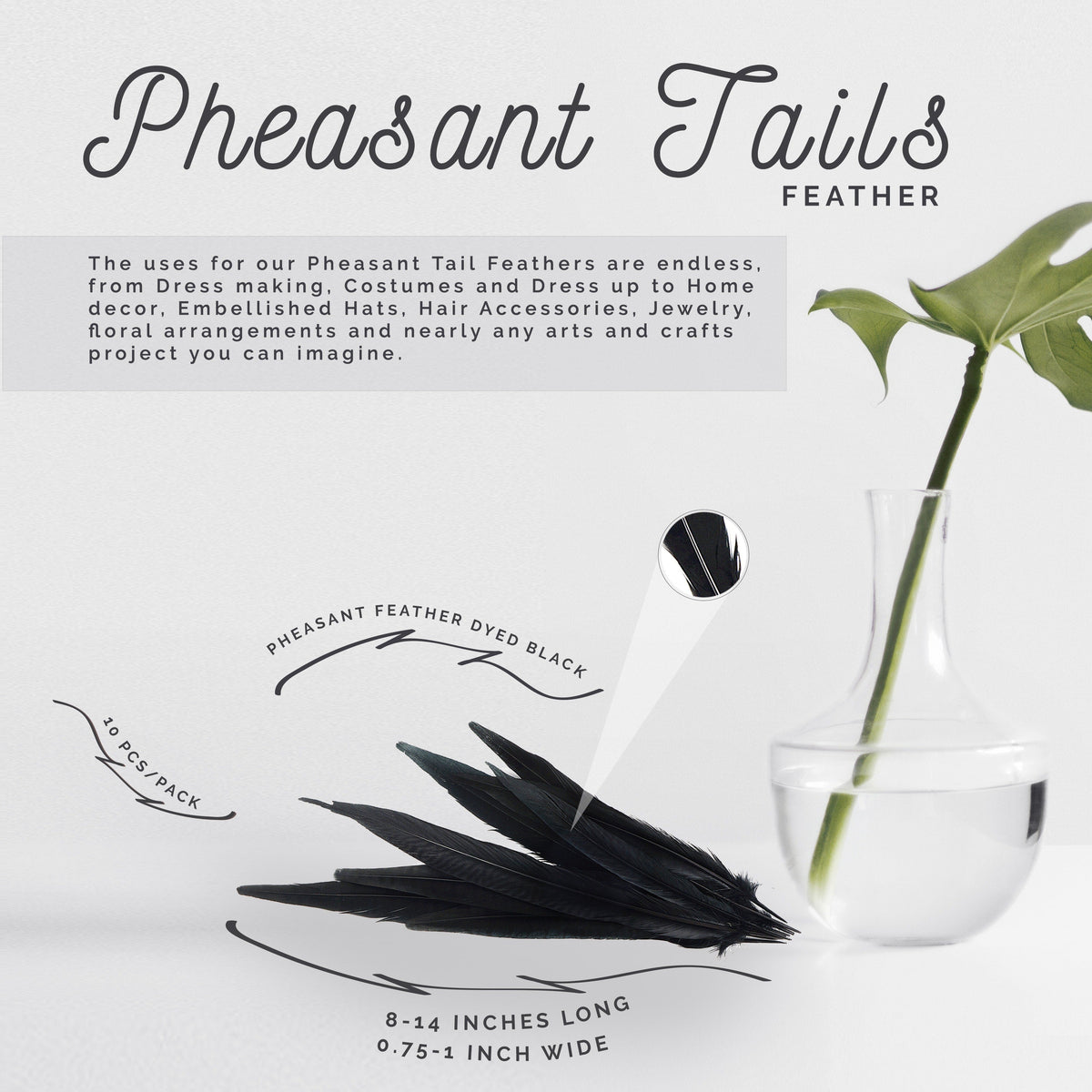 Pheasant Tails Assorted Bleached - Black