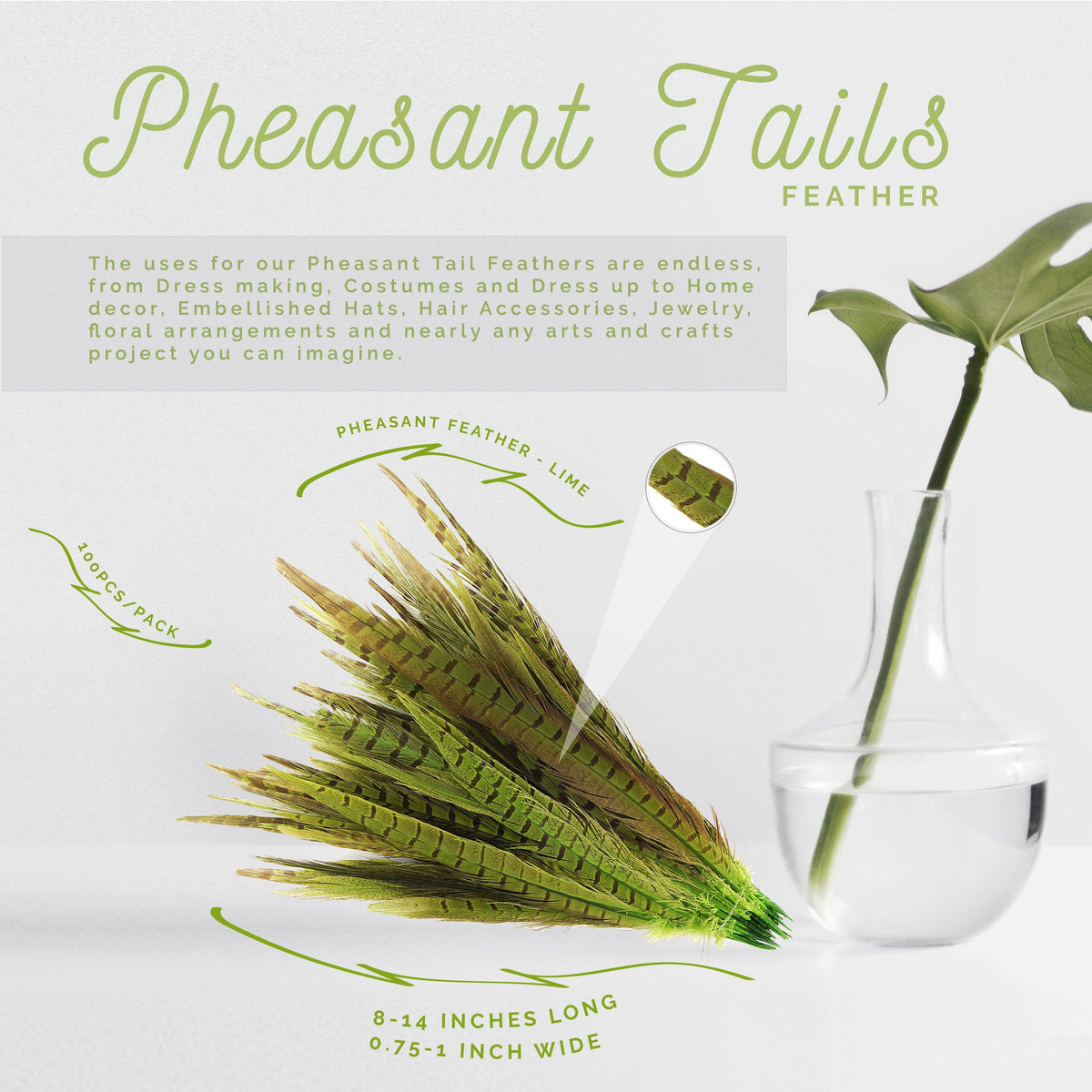 Assorted Pheasant Tails Dyed - Lime