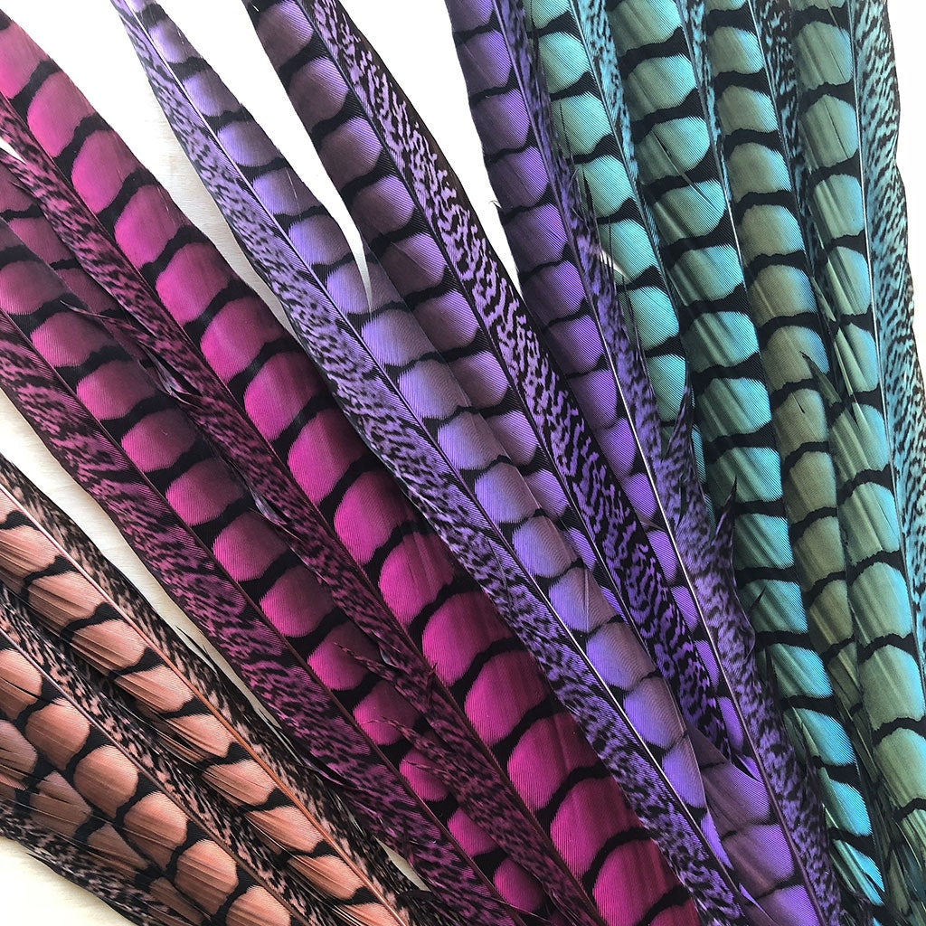 Lady Amherst Pheasant Tails Dyed 1pc Per Package Fl Fuchsia