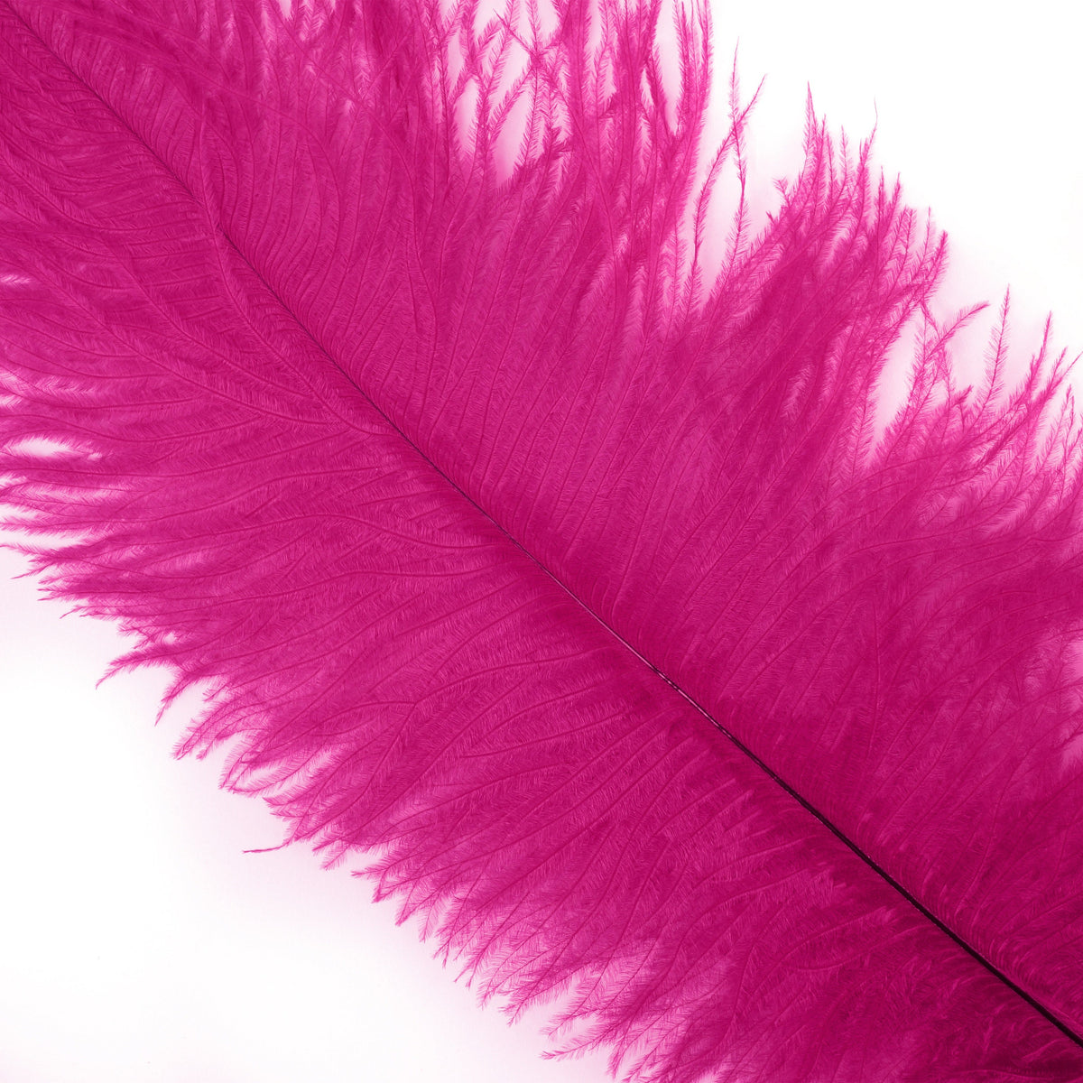 Ostrich Feathers-Narrow Drabs - Shocking Pink