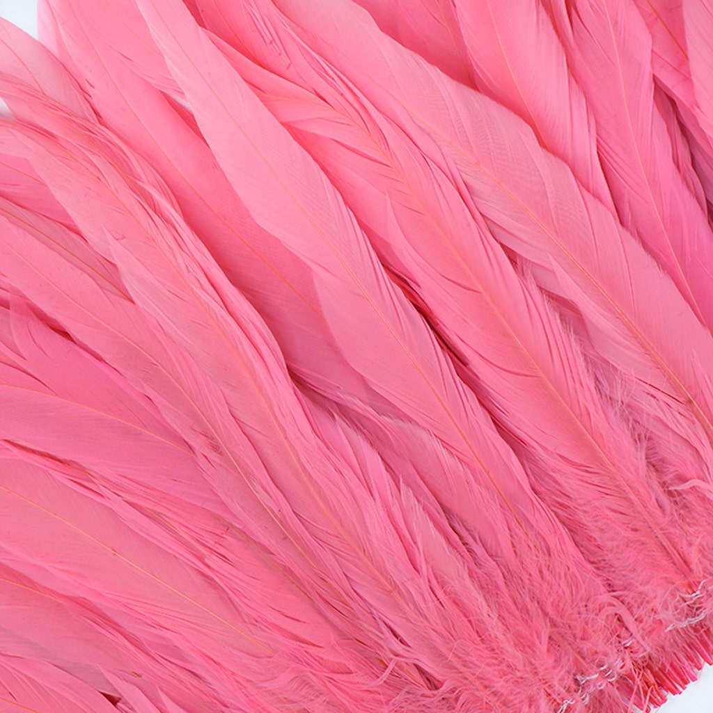 Rooster Coque Tails White-Dyed - Pink Orient
