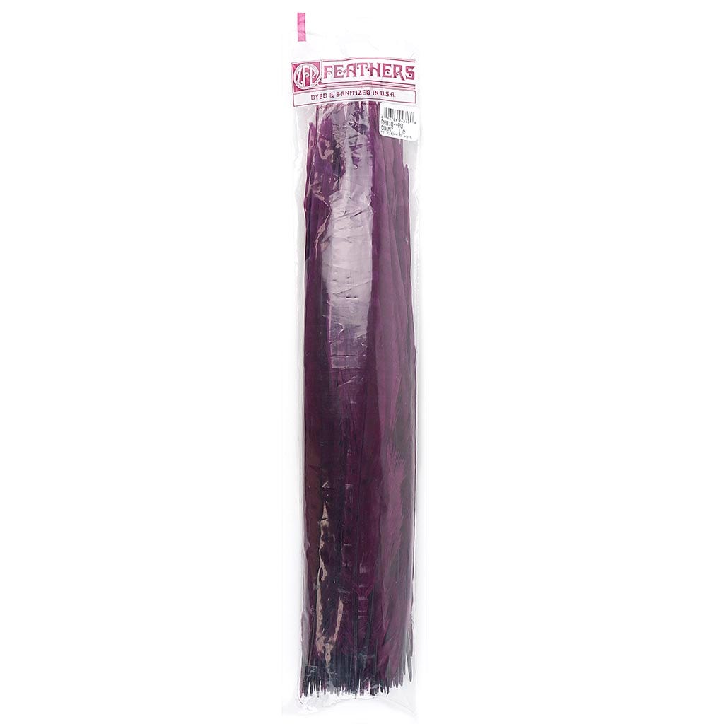 Assorted Pheasant Tails Dyed - Purple