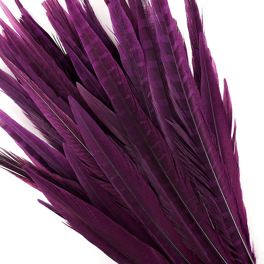 Pheasant Tails Assorted Bleached - Purple