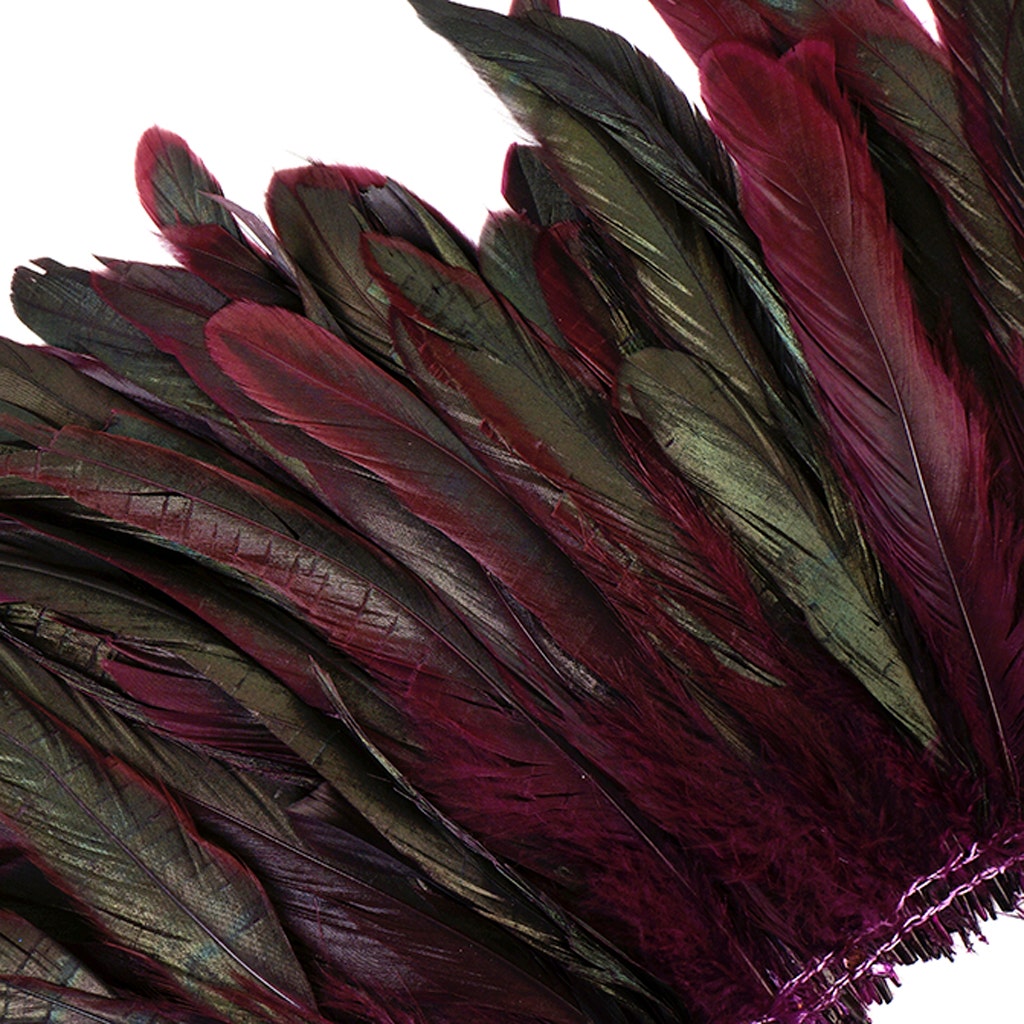 Rooster Coque Tails-Dyed - Purple