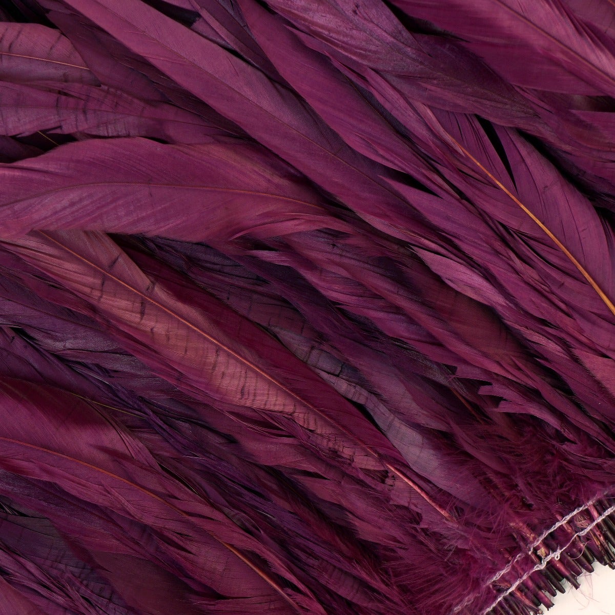 ROOSTER COQUE TAILS FEATHERS BLEACH DYED 7-10” - 1/2 Yard ( 18" ) - Purple